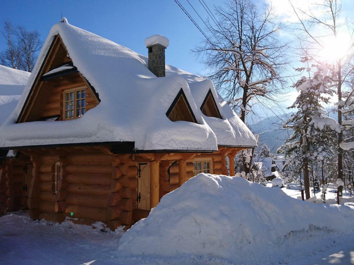 Biolo I Corno Izba Mountain Chalets Kościelisko Εξωτερικό φωτογραφία