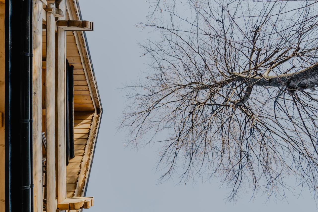 Biolo I Corno Izba Mountain Chalets Kościelisko Εξωτερικό φωτογραφία